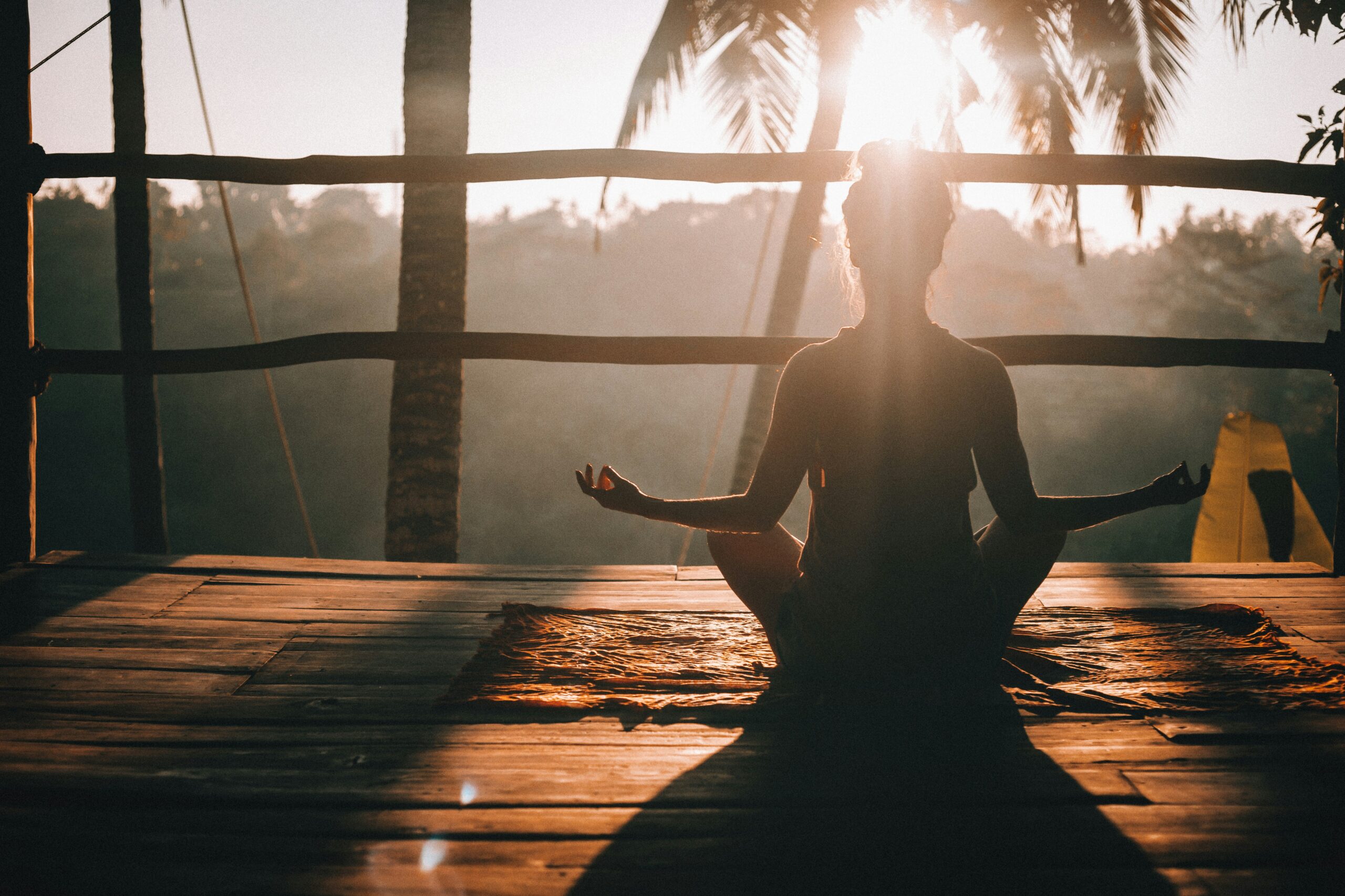 longevity wellness