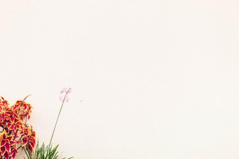 pearlescent sheen summer